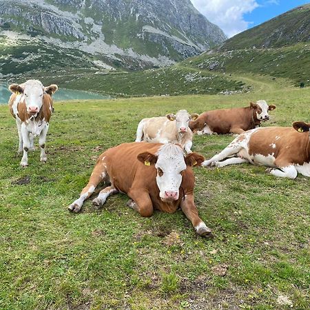 Ferienhof Bichlhof Arzl im Pitztal Kamer foto