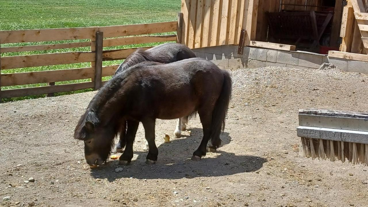 Ferienhof Bichlhof Arzl im Pitztal Buitenkant foto
