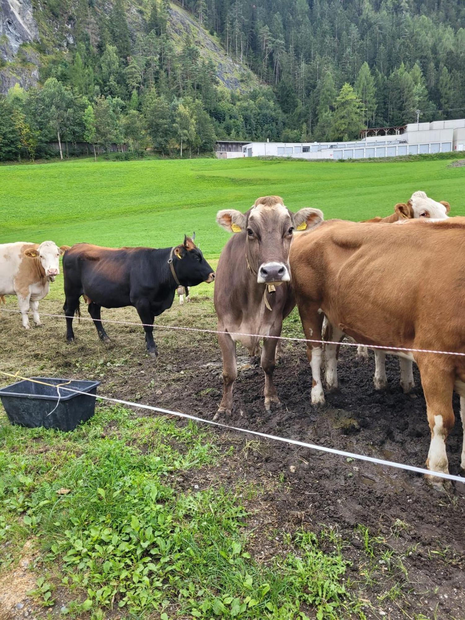Ferienhof Bichlhof Arzl im Pitztal Buitenkant foto
